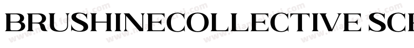 BrushineCollective Script字体转换